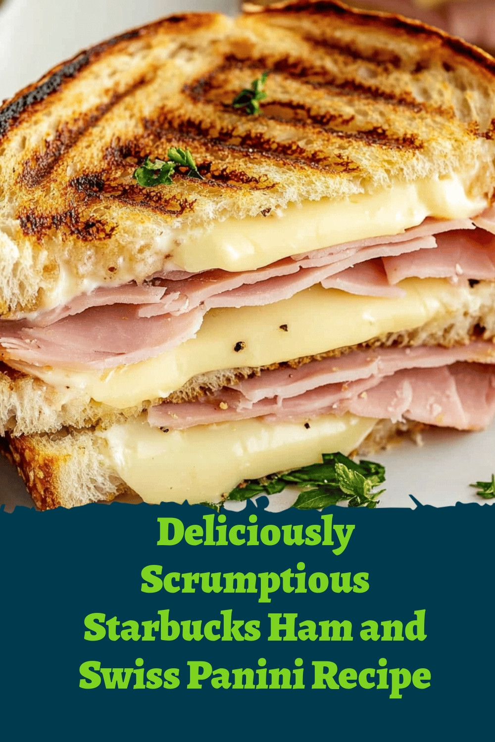 Deliciously Scrumptious Starbucks Ham and Swiss Panini Recipe